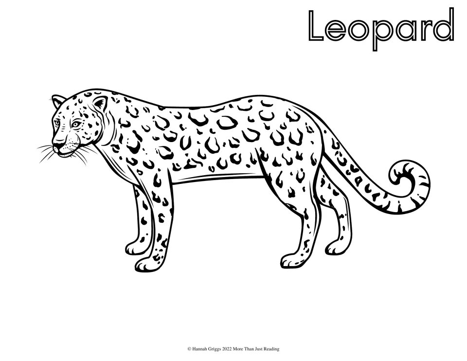 Leopard: students color a side view of a leopard with rosette spots and a curled tail, named Leopard in outline lettering