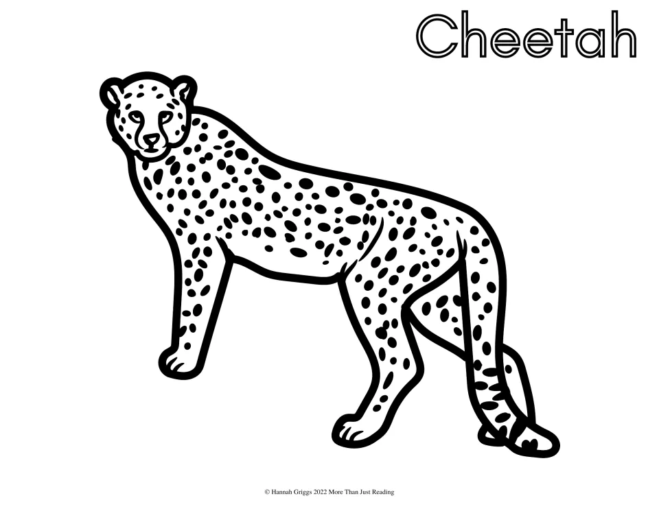 Cheetah: learners color a standing cheetah covered in solid spots, looking toward the viewer, with Cheetah in hollow text