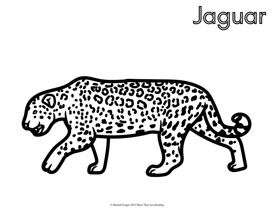 Jaguar: students color a prowling jaguar with rosette markings and a curled tail, plus the name Jaguar in outline letters