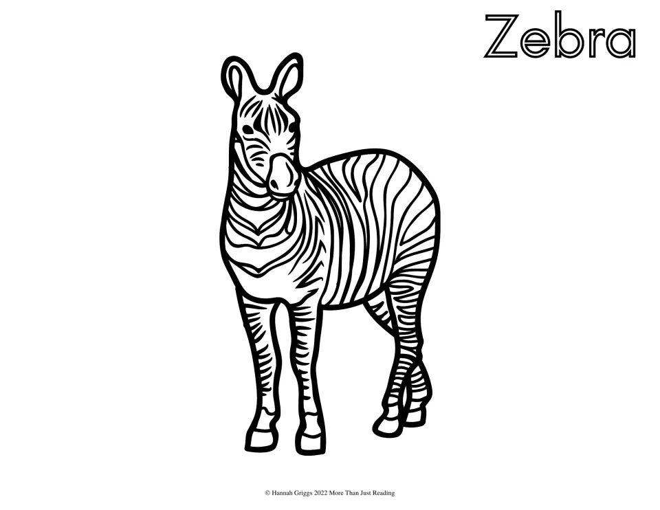 Zebra: students color a front-facing zebra with bold curved stripes and upright ears, plus the word Zebra in outline font