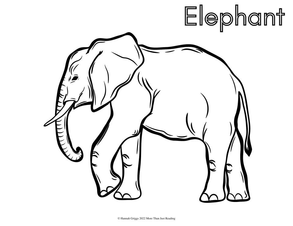 Elephant: learners color a walking elephant with large ears, curled trunk and tusks, plus the name Elephant in hollow text