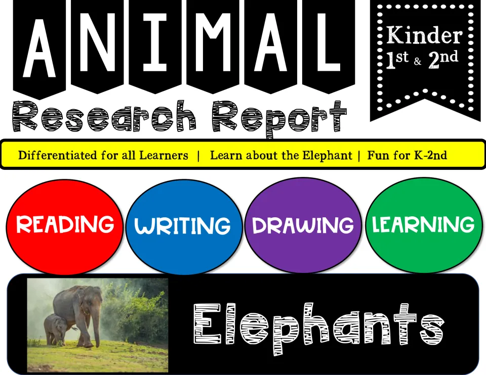 Animal Research Report on elephants for Kinder, 1st and 2nd: reading, writing, drawing and learning, with an elephant photo