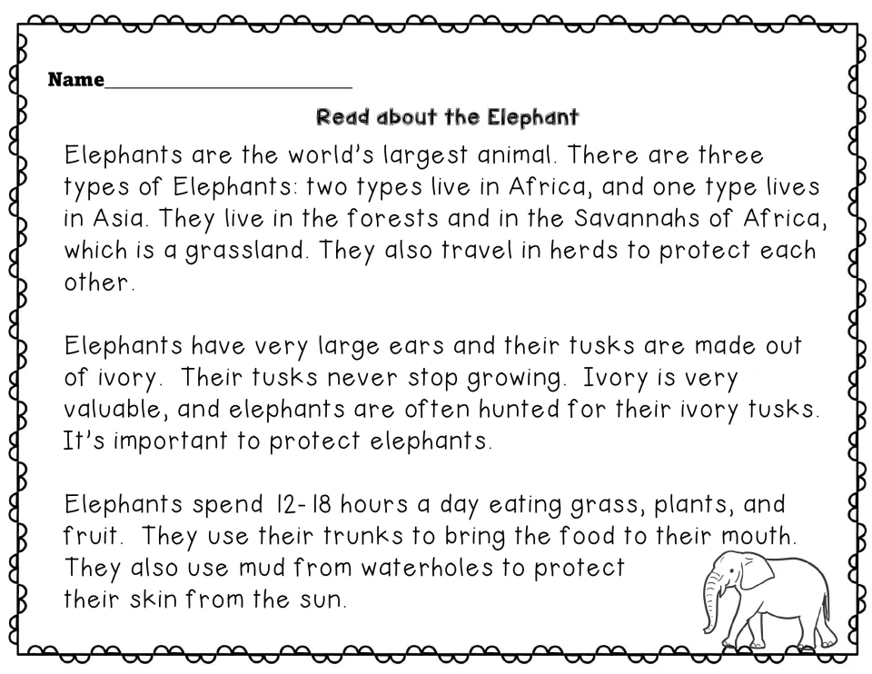 Elephant reading passage on African and Asian elephants, herds, ivory tusks, eating 12-18 hours a day and mud for sun care