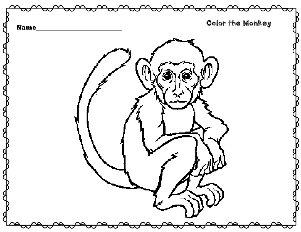 Color the Monkey: students color a line drawing of a seated monkey with a long curled tail and write their name